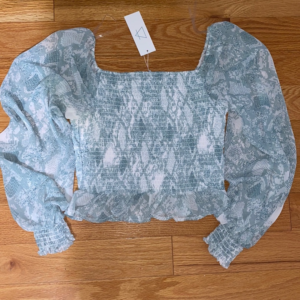 Nordstrom fancy teal snakeskin top size L